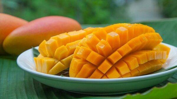 Taller Produciendo y Comercializando Mangos